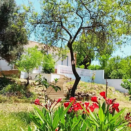 Casa Jacaranda Peace And Sunshine Casa vacanze Santa Bárbara de Nexe