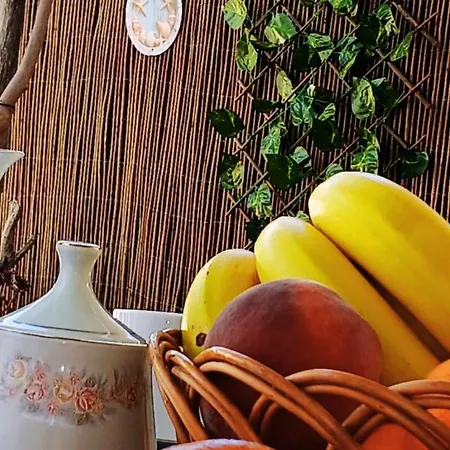 Tatil Evi Casa Jacaranda Peace And Sunshine Santa Bárbara de Nexe